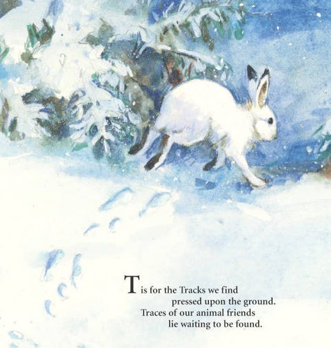 S is for S'mores: A Camping Alphabet Picture Book - Sleeping Bear Press