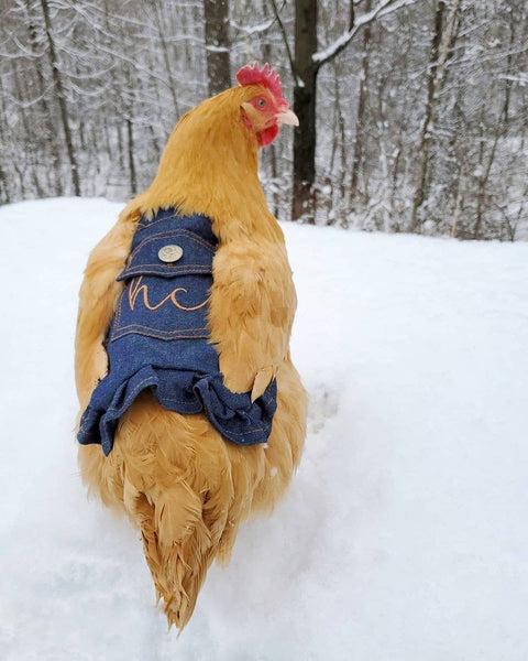 Hen Couture® Hen Saddle, Blue Denim - My Favorite Chicken