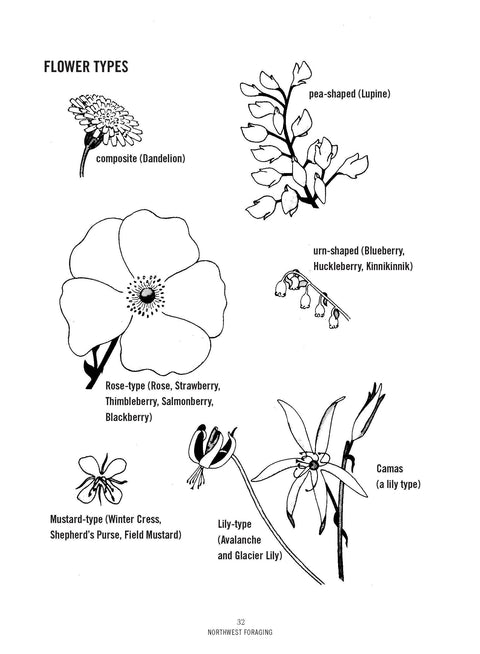 Northwest Foraging - Mountaineers Books