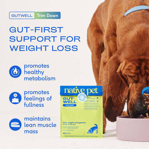 Native Pet GutWell Trim Down, Weight Management & Metabolic, 12.7 oz - Native Pet