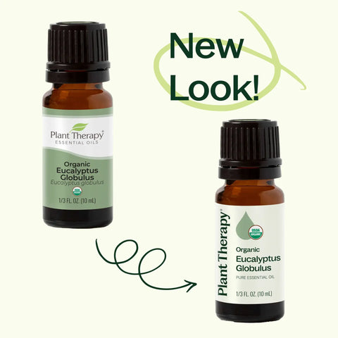 Organic Eucalyptus Globulus Essential Oil, 10 ml - Plant Therapy