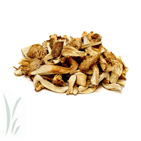 Dried Wild Matsutake Mushrooms, 20 g - Mikuni Wild Harvest USA