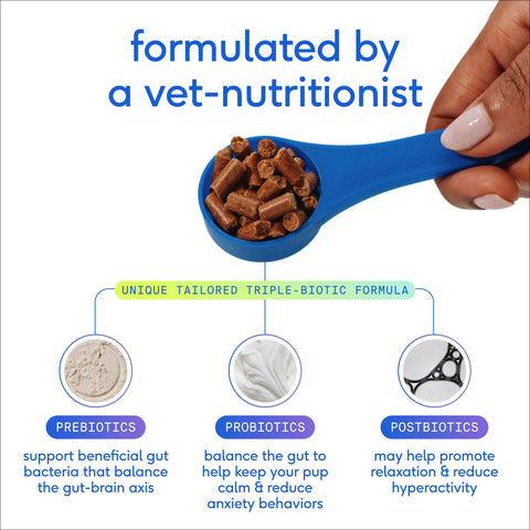 Native Pet GutWell Stress Support, Stress Relief & Calming, 12.7 oz - Native Pet