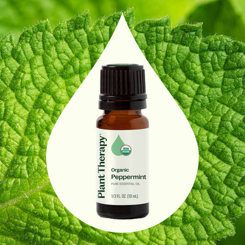 Organic Peppermint Essential Oil, 10 ml - Plant Therapy