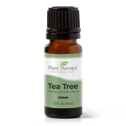 Tea Tree Essential Oil, 10 ml - Plant Therapy