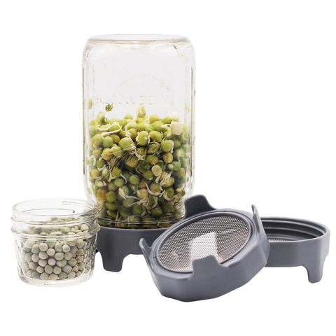 Rust Proof Sprouting Lid with Built-In Stand for Wide Mouth - Mason Jar Lifestyle
