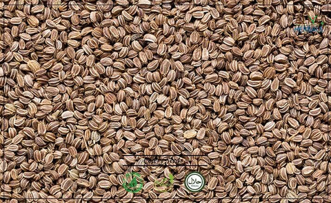 Celery Seeds: 8 oz - Alive Herbals