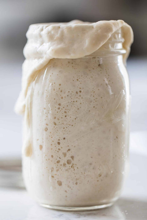 Sourdough Starter, Organic, Non-GMO, Freeze Dried, 12 grams - My Rustic Roots