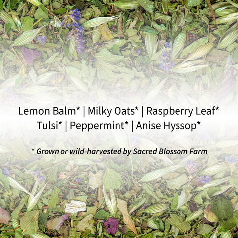 Turtle Herbal Tea, 1.4 oz - Sacred Blossom Farm