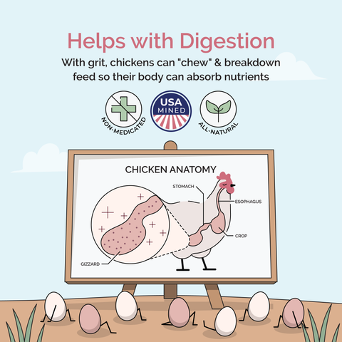 Natural Chicken Grit, Digestive Supplement, 4 lb - Mile Four