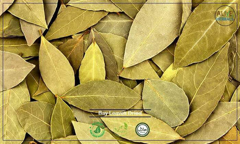 Bay Leaves Dried: 8 oz - Alive Herbals