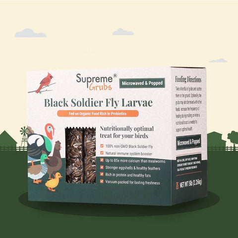 Black Soldier Fly Larvae, 1 lb - Supreme Grubs