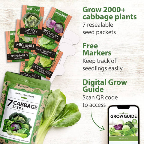 7 Varieties Cabbage Seeds - Non-GMO, Heirloom - Homegrown Garden