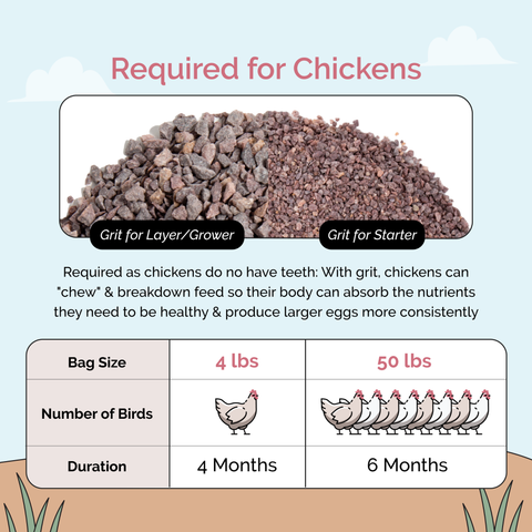 Natural Chicken Grit, Digestive Supplement, 4 lb - Mile Four