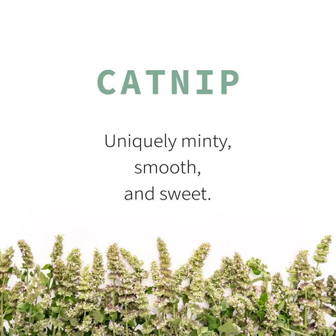 Catnip, 5.2 oz - Sacred Blossom Farm