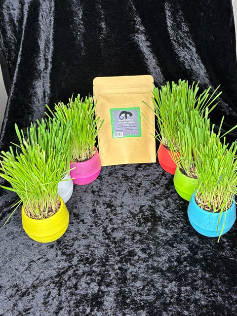 Cat Grass Garden Ball Refill Pack - Mom’s Indoor Cat