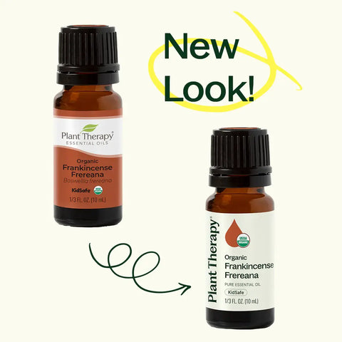 Plant Therapy - Organic Frankincense Frereana Essential Oil 10 mL