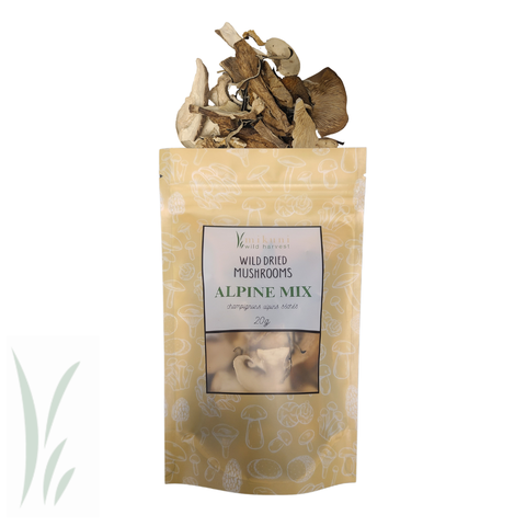 Dried Alpine Mix Mushrooms, 20 g - Mikuni Wild Harvest USA
