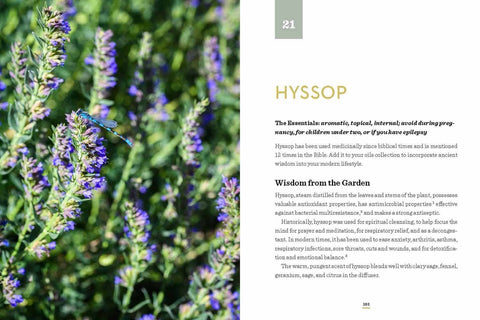 It All Began in a Garden: Hardcover - Harvest House Publishers