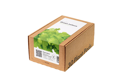 Green Lettuce Pods, 3-pack - Click and Grow