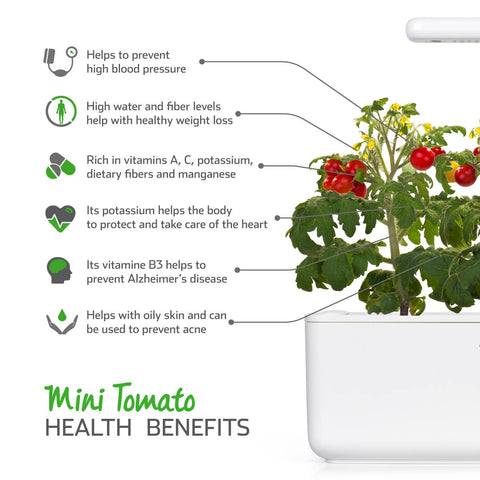 Mini Tomato Plant Pods, 3-pack - Click and Grow