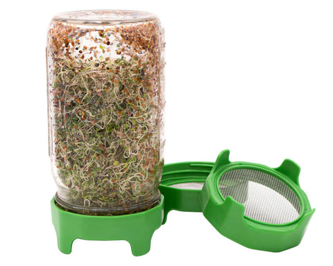 Rust Proof Sprouting Lid with Built-In Stand for Wide Mouth - Mason Jar Lifestyle