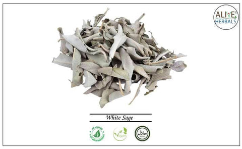White Sage: 2 Oz - Alive Herbal