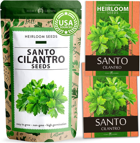 Cilantro Seeds (Santo) - Heirloom, Non-GMO - Homegrown Garden