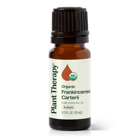 Organic Frankincense Carterii Essential Oil, 10 ml - Plant Therapy