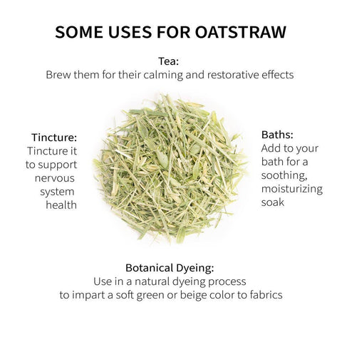 Oatstraw (Avena sativa), 7.0 oz - Sacred Blossom Farm